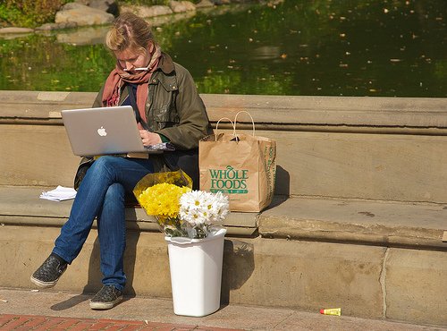 content writing