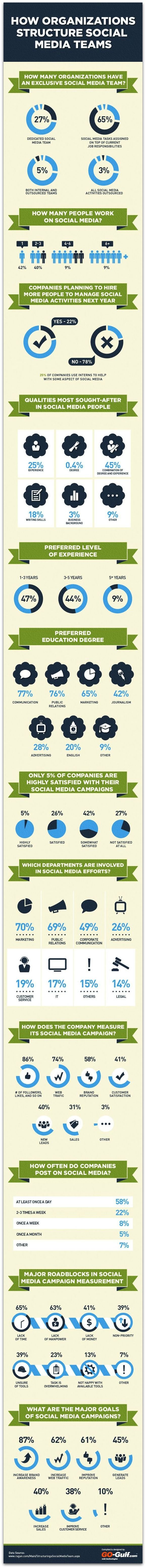 Social Media Program Infographic