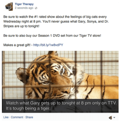 facebook posts