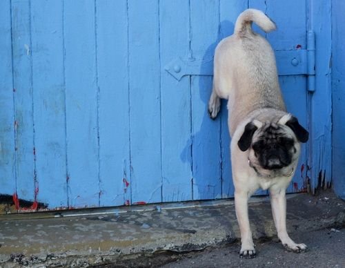 content marketing psychology