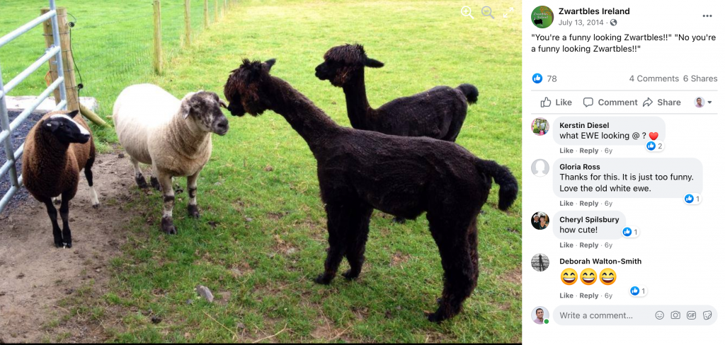 boost humor in marketing example