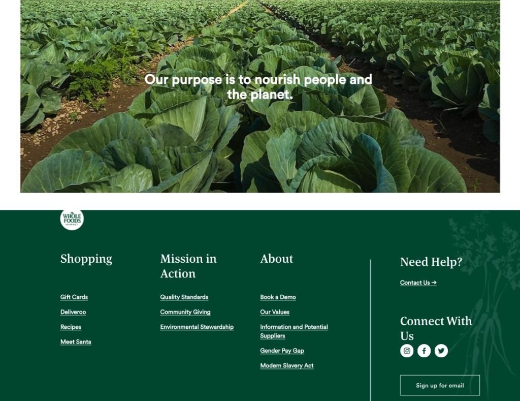 color for a website revamp